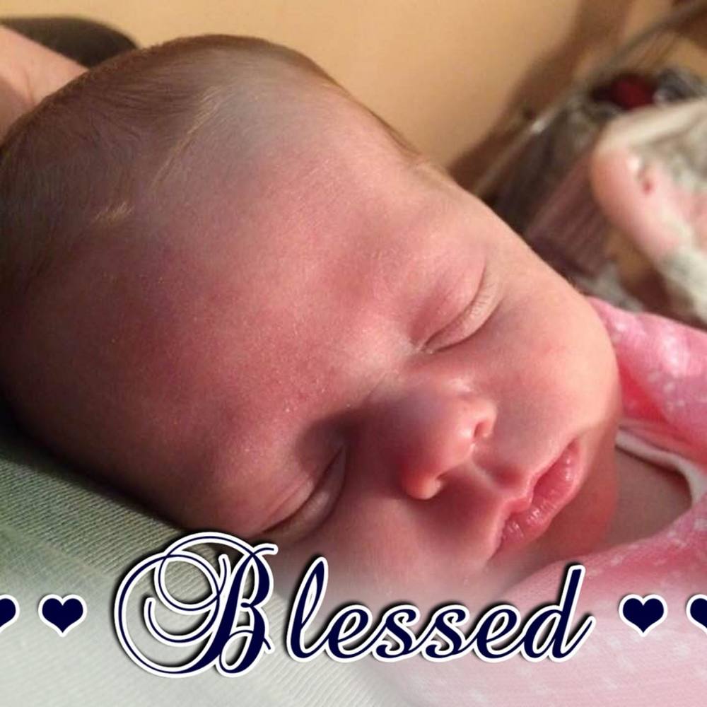 Meet your Posher, Donna